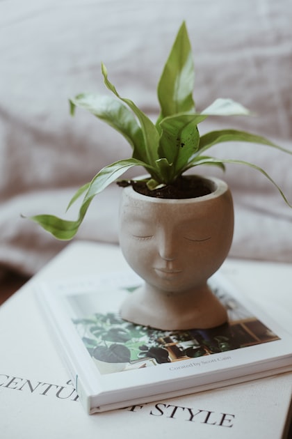 Earthy Decor Ideas for Your Home